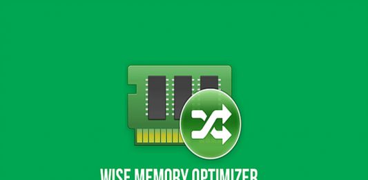 wise memory optimizer auto