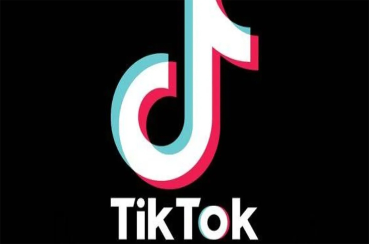 download videos from tiktok pc